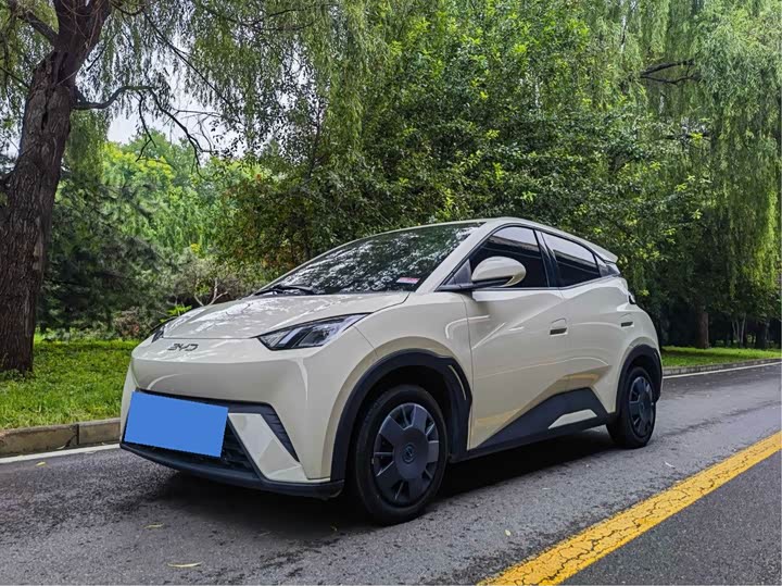 BYD Seagull, 2024 — купить в Оренбурге под ключ
