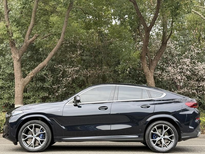 BMW X6, 2024 — фото 3 из 12