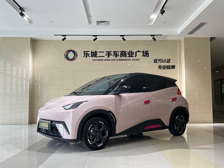 BYD Seagull, 2024 — купить в Владимире под ключ