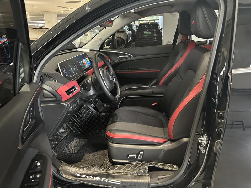 Ora Good Cat GT (03 GT), 2025 — фото 8 из 10