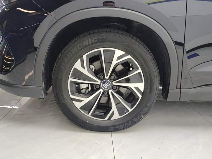 BYD Song Pro Hybrid, 2024 — фото 6 из 9
