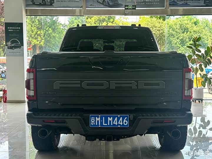 Ford F-150 Raptor, 2023 — фото 8 из 9