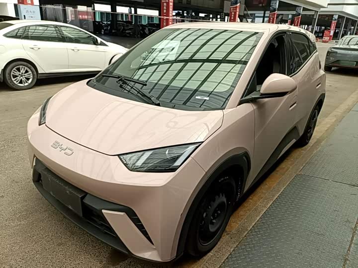 BYD Seagull, 2024 — купить в Санкт-Петербурге под ключ