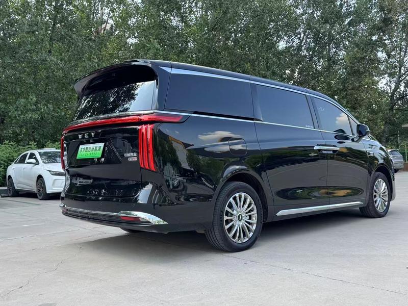 Wey 80 Hybrid, 2025 — фото 6 из 12