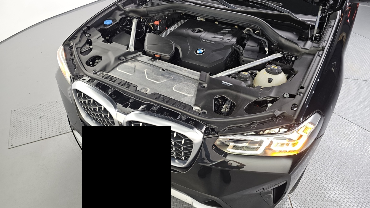 BMW X4, 2022 — фото 6 из 12