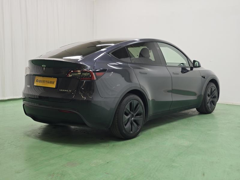 Tesla Model Y, 2024 — фото 7 из 12