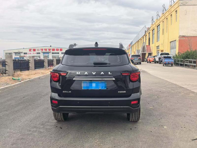 Haval H-Dog, 2023 — фото 5 из 10