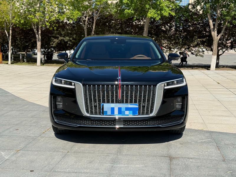 Hongqi H9, 2023 — фото 2 из 10