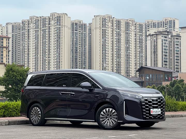 BYD Xia, 2025 — фото 3 из 9