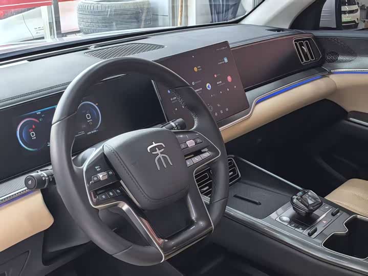 BYD Song Pro Hybrid, 2024 — фото 9 из 9