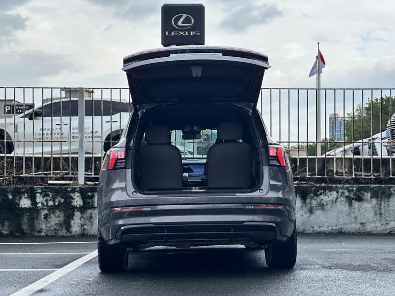 Lynk & Co 09 EM-P Hybrid, 2022 — фото 4 из 12