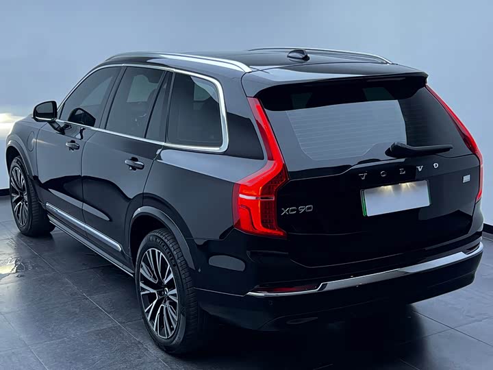 Volvo XC90 Hybrid, 2024 — фото 6 из 9