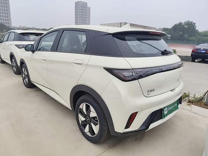 BYD Dolphin, 2026 — фото 5 из 9
