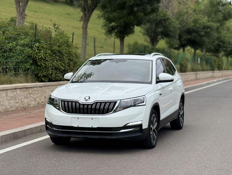 Skoda Kamiq, 2023 — купить в Перми под ключ