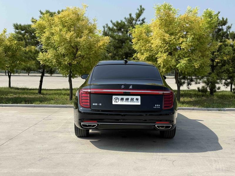 Hongqi H9, 2023 — фото 5 из 12