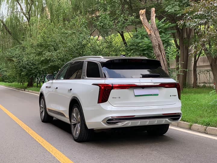Hongqi E-HS9, 2023 — фото 6 из 9