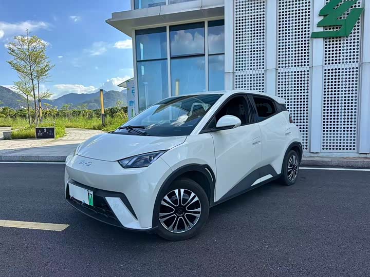 BYD Seagull, 2024 — купить в Чебоксарах под ключ