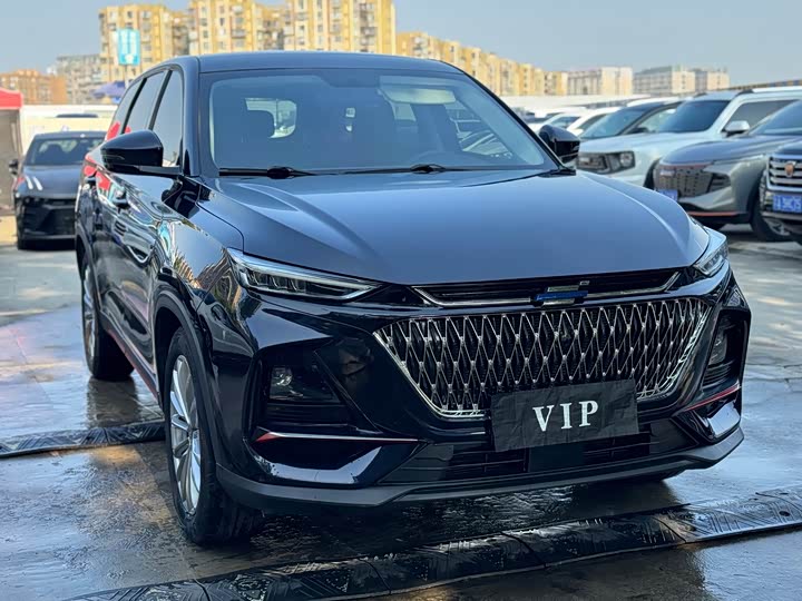 Changan Oshan X7 Plus, 2021 — фото 3 из 9