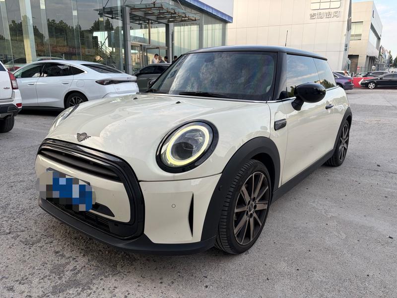 Mini Mini, 2022 — купить в Москве под ключ