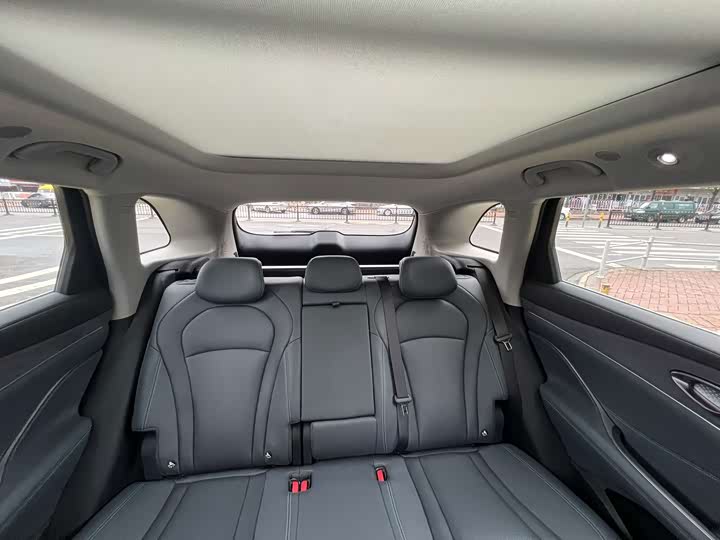 BYD Sea Lion 07 DM-i Hybrid, 2025 — фото 8 из 9