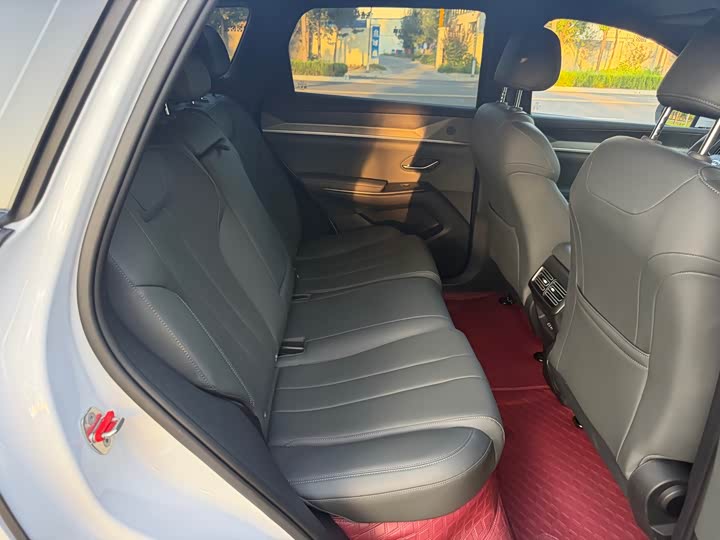 BYD Song Pro Hybrid, 2026 — фото 7 из 9