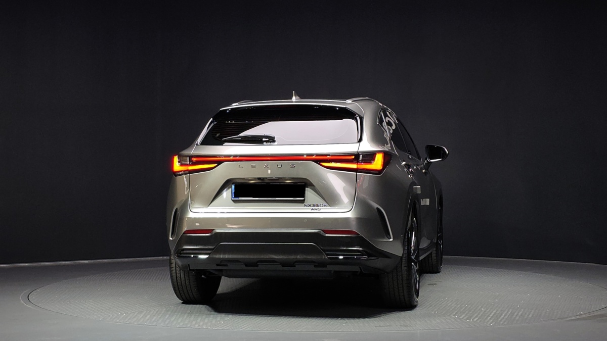 Lexus NX, 2024 — фото 4 из 12