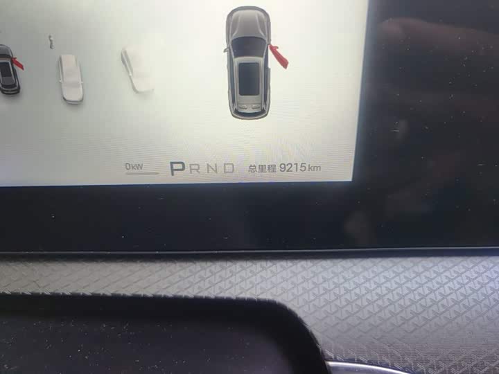 BYD Song Pro Hybrid, 2025 — фото 8 из 9