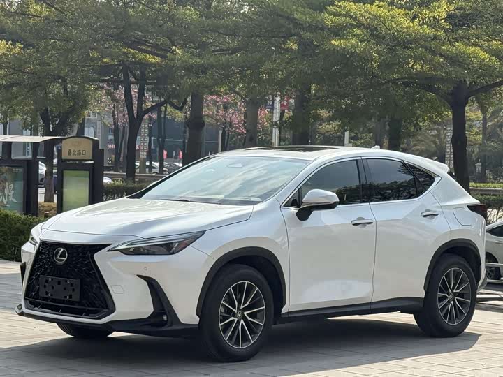 Lexus NX, 2021 — купить в Иванове под ключ