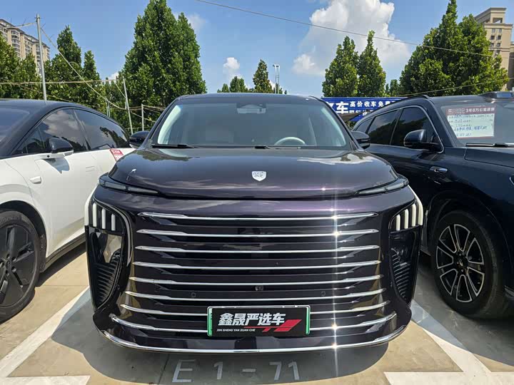 Dongfeng Forthing Xinghai V9, 2024 — фото 2 из 9