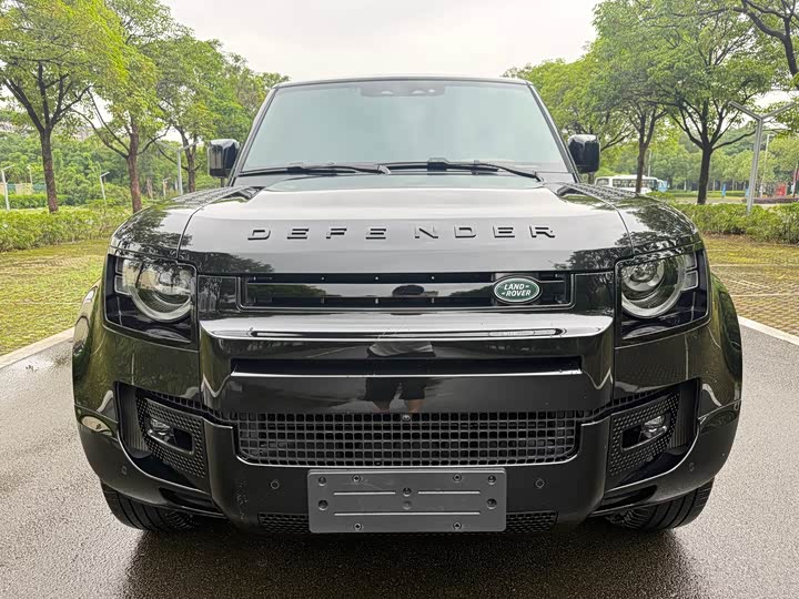 Land Rover Defender, 2024 — фото 2 из 9