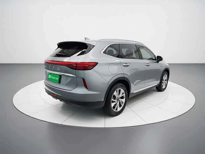 Haval H6 Hybrid, 2022 — фото 6 из 9