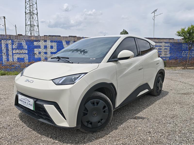 BYD Seagull, 2023 — купить в Туле под ключ