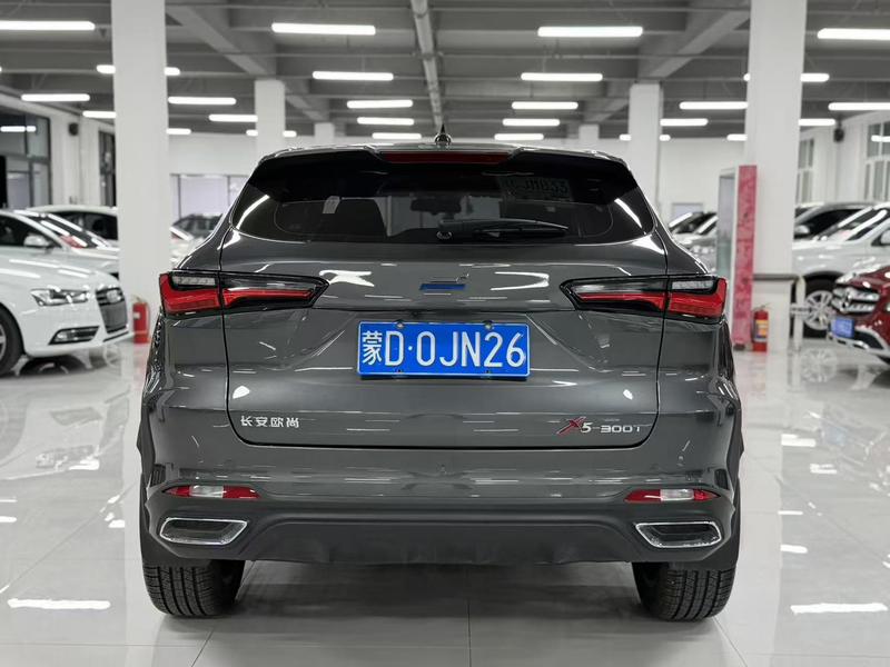 Changan Oshan X5, 2022 — фото 5 из 10