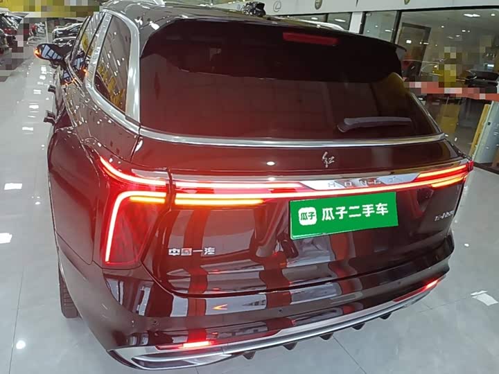 Hongqi E-HS9, 2023 — фото 6 из 9