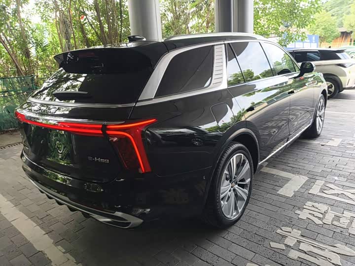 Hongqi E-HS9, 2023 — фото 7 из 9