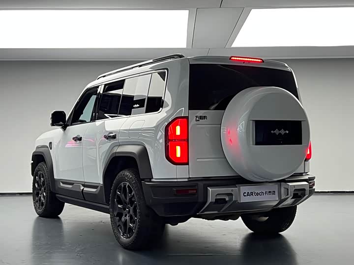 BYD FangChengBao Leopard 5, 2024 — фото 5 из 9