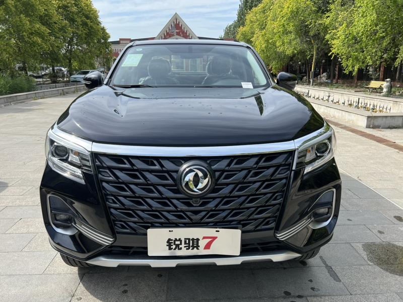 Dongfeng Rich 7, 2025 — фото 2 из 10
