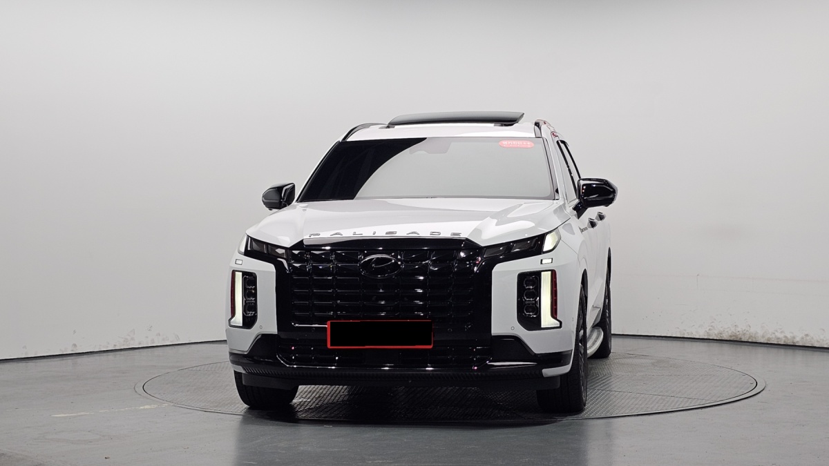 Hyundai Palisade, 2024 — фото 3 из 12