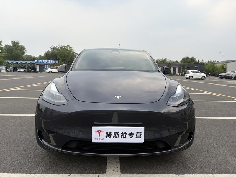 Tesla Model Y, 2024 — фото 2 из 10