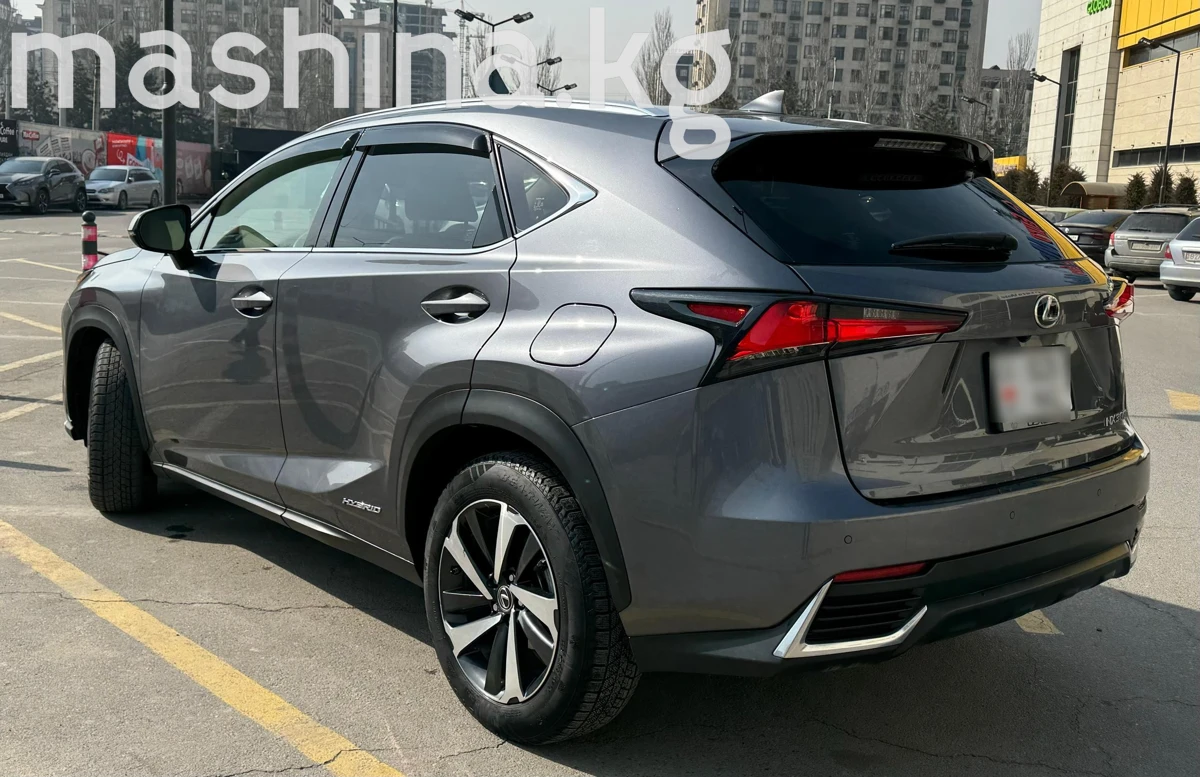 Lexus NX, 2021 — фото 3 из 6