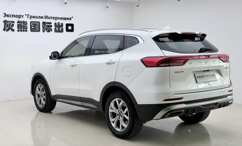 Haval H6, 2021 — фото 4 из 12