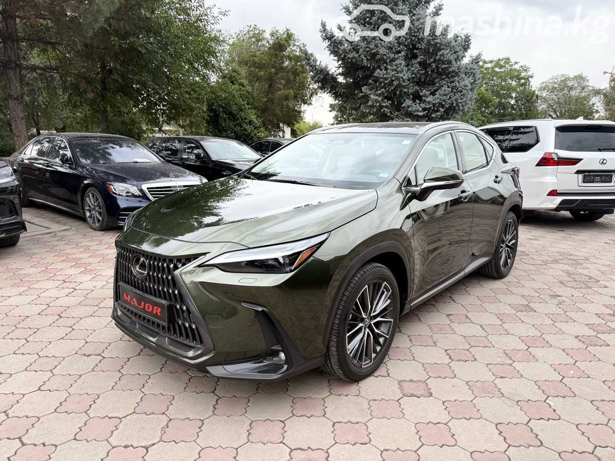 Lexus NX, 2022