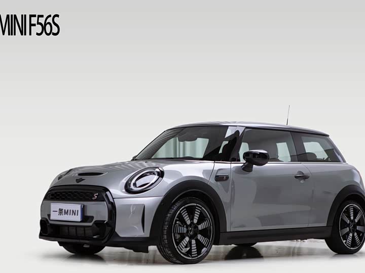 Mini Mini, 2024 — купить в Кирове под ключ