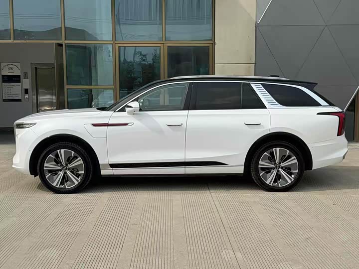 Hongqi E-HS9, 2022 — фото 3 из 9