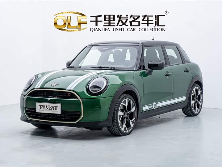 Mini Mini, 2024 — купить в Ярославле под ключ