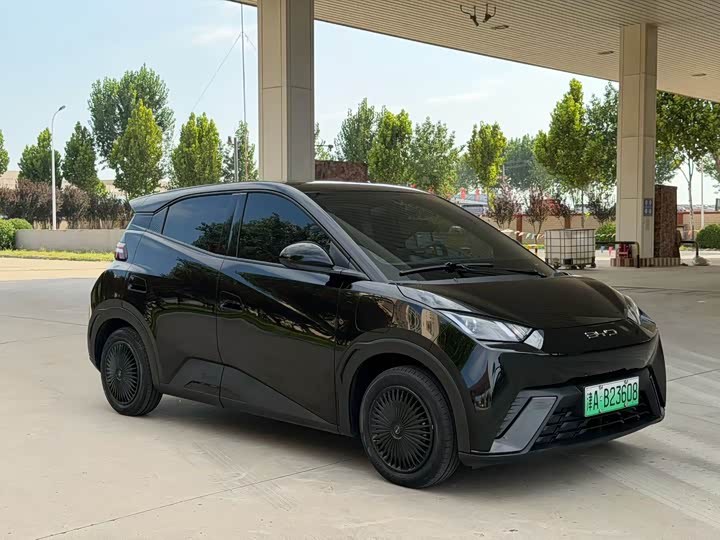 BYD Seagull, 2024 — купить в Чебоксарах под ключ