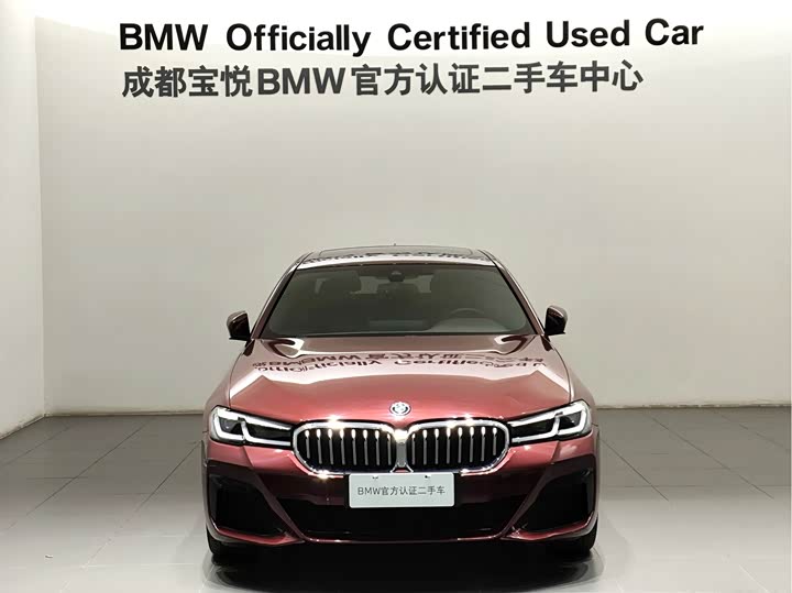 BMW 5 Series Hybrid, 2022 — фото 4 из 9