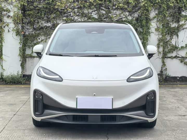 BAIC Arcfox Kaola S, 2024 — фото 4 из 9