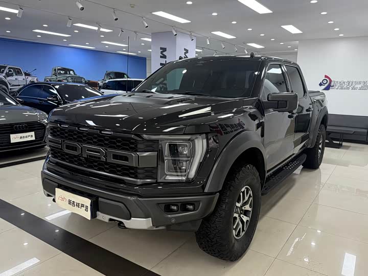 Ford F-150 Raptor, 2023 — фото 3 из 9