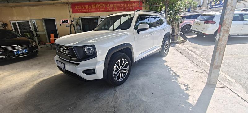 Haval H-Dog, 2025 — купить в Кирове под ключ